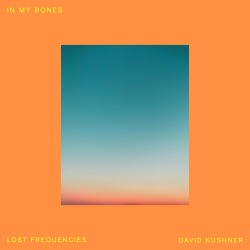 Lost Frequencies, David Kushner In My Bones